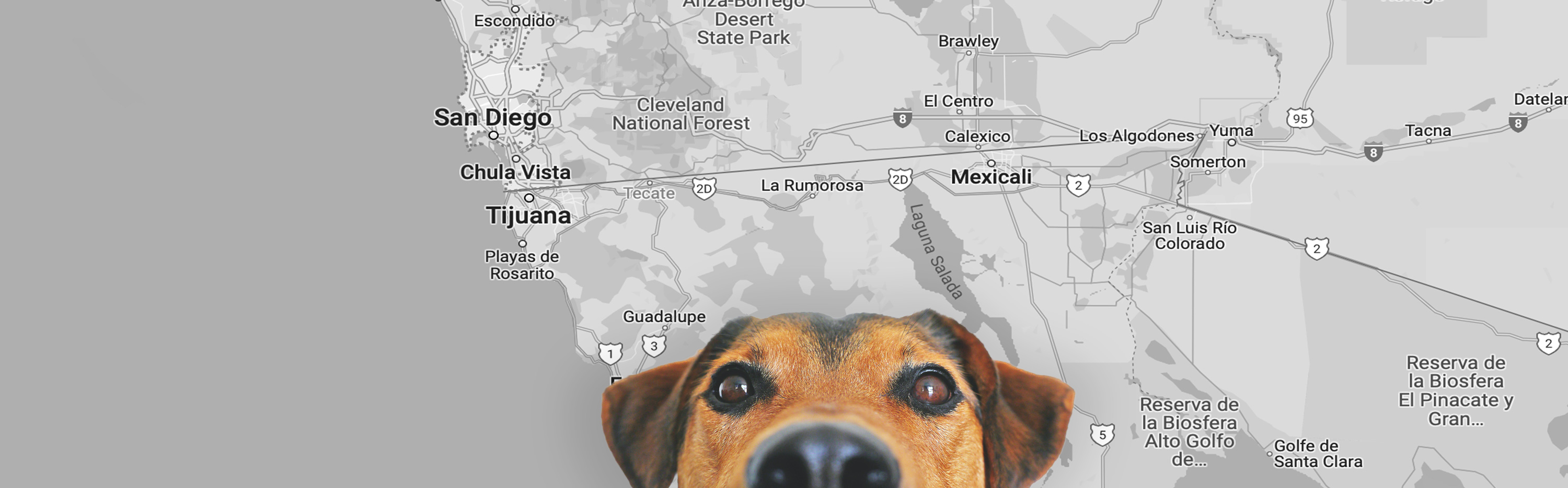 Map of the San Diego Tijuana border, Best Vet MX — American-owned veterinary hospital in Tijuana, proudly serving San Diego and Southern California.
